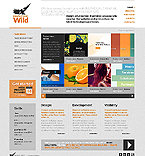 Дизайн категории веб-дизайн (№37022)