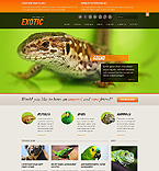 Дизайн категории животные (№40510)