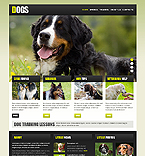 Дизайн категории животные (№42975)