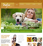 Дизайн категории животные (№43892)