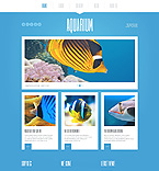 Дизайн категории животные (№44955)