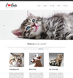 Дизайн категории животные (№46158)