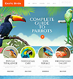 Дизайн категории животные (№46369)