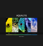 Дизайн категории животные (№46716)