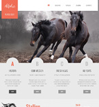 Дизайн категории животные (№46921)