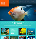 Дизайн категории животные (№47484)