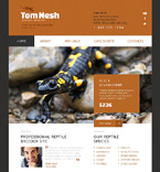 Дизайн категории животные (№47705)