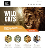 Дизайн категории животные (№47932)