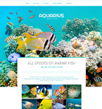 Дизайн категории животные (№48323)