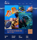 Дизайн категории животные (№48417)