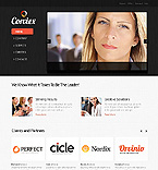 Дизайн категории бизнес (№38099)