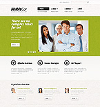 Дизайн категории бизнес (№39161)