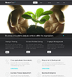 Дизайн категории бизнес (№40443)