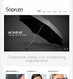 Дизайн категории бизнес (№48172)