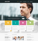 Дизайн категории бизнес (№49209)