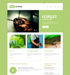 Дизайн категории самые популярные (№49210)