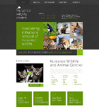 Дизайн категории самые популярные (№49239)