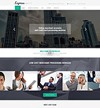 Дизайн категории бизнес (№53845)