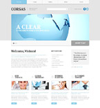 Дизайн категории бизнес (№55412)